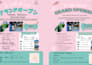 design a professional japanese flyer for your business